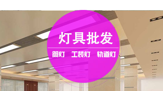 工程灯具 筒灯 轨道灯 工装灯